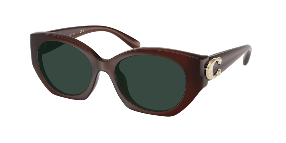 Coach HC8407U 584174 Cw194 Coach HC8407U 584174 Cw194