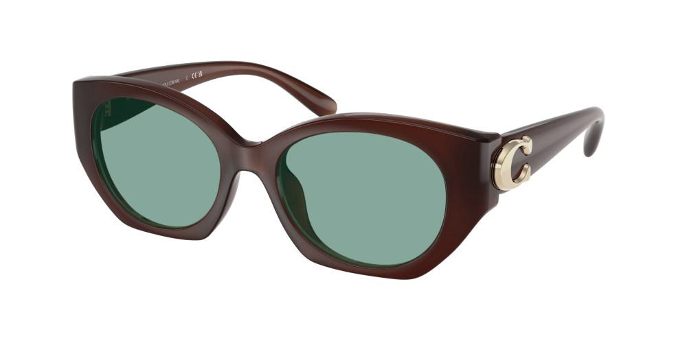 Coach HC8407U 584174 Cw194 Coach HC8407U 584174 Cw194