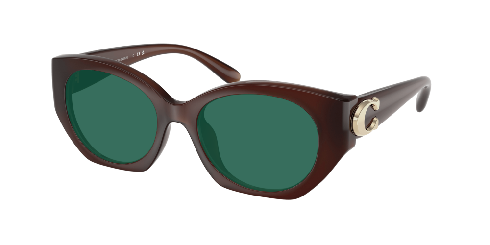 Coach HC8407U 584174 Cw194 Coach HC8407U 584174 Cw194