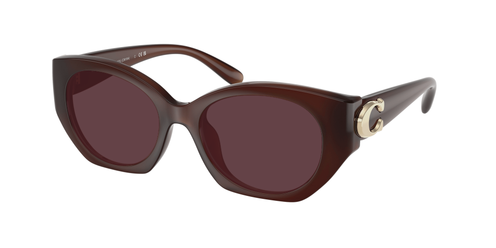 Coach HC8407U 584174 Cw194 Coach HC8407U 584174 Cw194