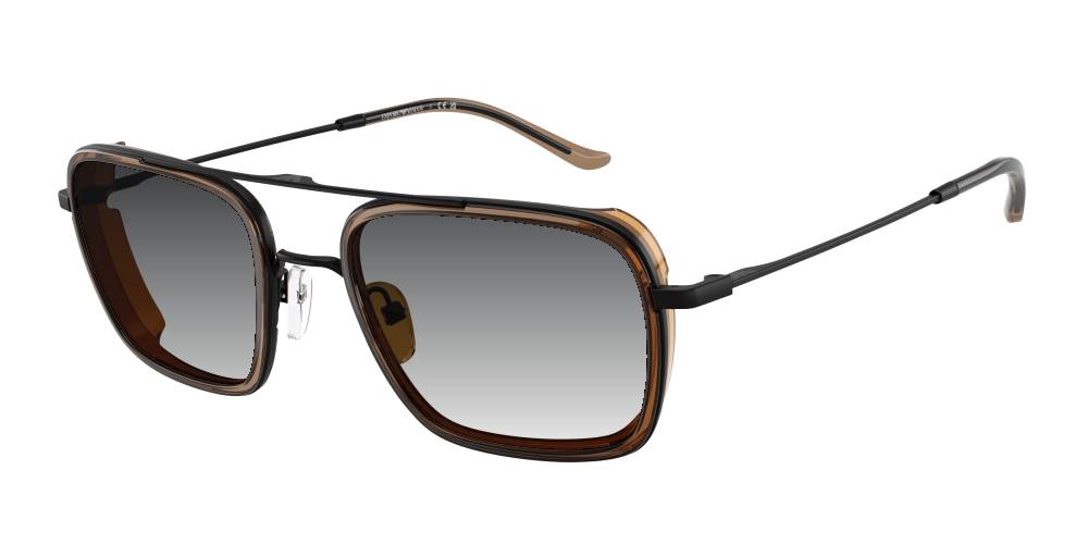 Emporio Armani EA2162 300163 Emporio Armani EA2162 300163