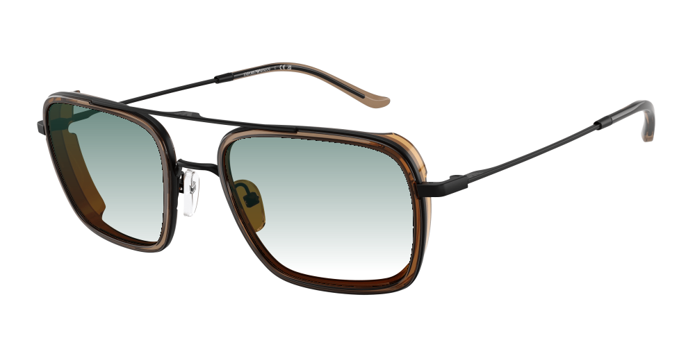 Emporio Armani EA2162 300163 Emporio Armani EA2162 300163