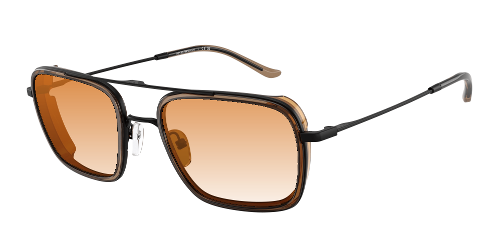 Emporio Armani EA2162 300163 Emporio Armani EA2162 300163