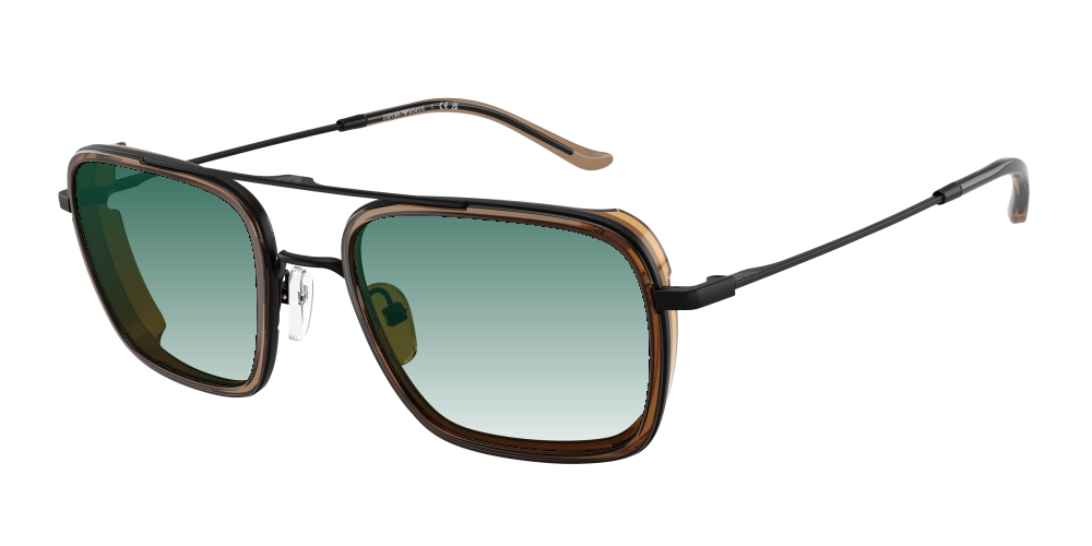 Emporio Armani EA2162 300163 Emporio Armani EA2162 300163