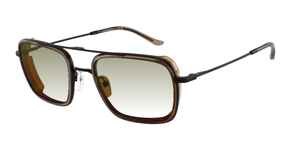 Emporio Armani EA2162 300163 Emporio Armani EA2162 300163