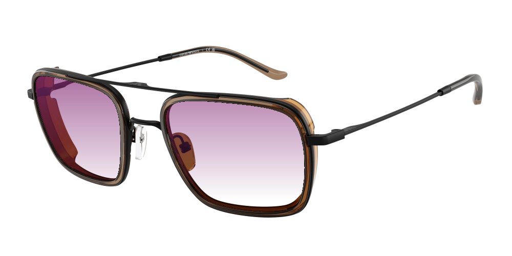 Emporio Armani EA2162 300163 Emporio Armani EA2162 300163