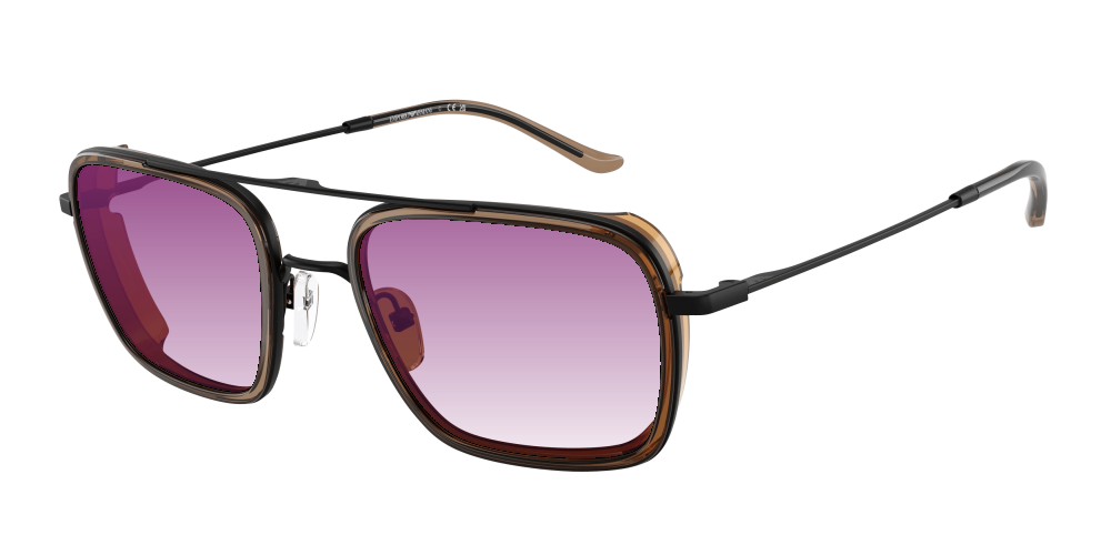 Emporio Armani EA2162 300163 Emporio Armani EA2162 300163