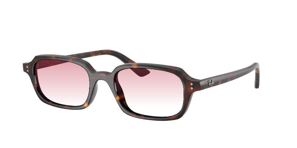 Ray-Ban RB4455 135987 Zuri Ray-Ban RB4455 135987 Zuri