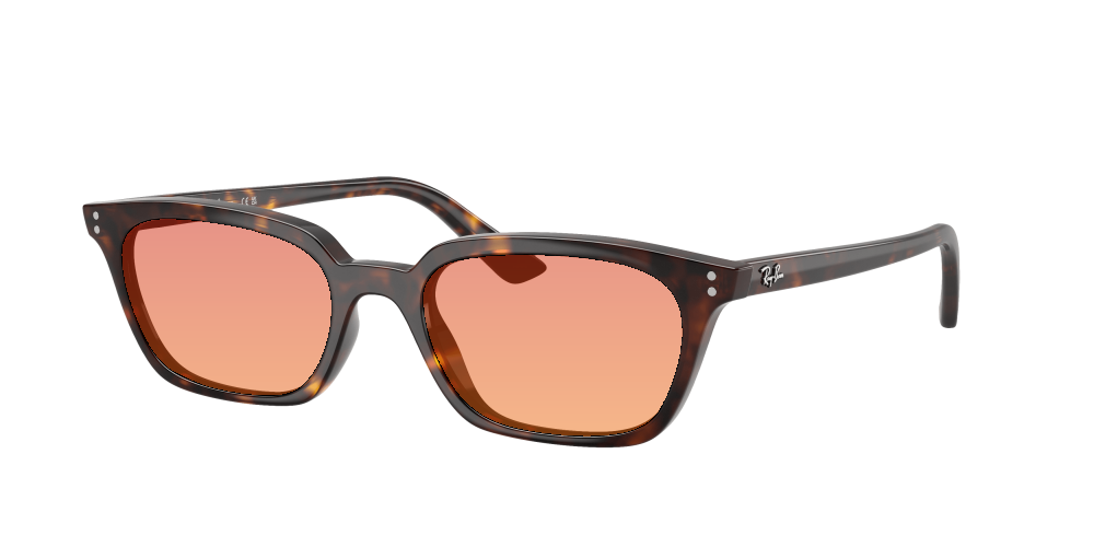 Ray Ban RB4456 135987 Zaya Ray Ban RB4456 135987 Zaya