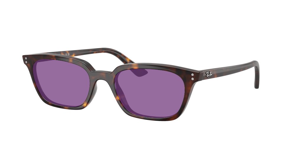 Ray-Ban RB4456 135987 Zaya Ray-Ban RB4456 135987 Zaya