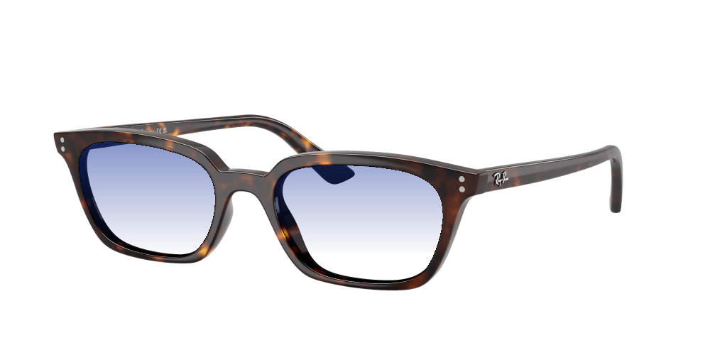 Ray Ban RB4456 135987 Zaya Ray Ban RB4456 135987 Zaya