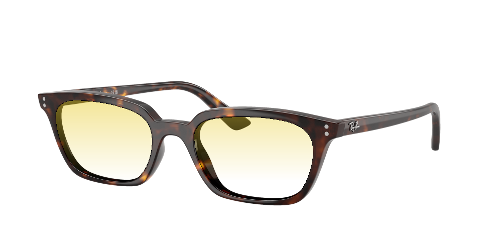 Ray Ban RB4456 135987 Zaya Ray Ban RB4456 135987 Zaya