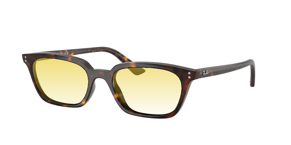 Ray Ban RB4456 135987 Zaya Ray Ban RB4456 135987 Zaya