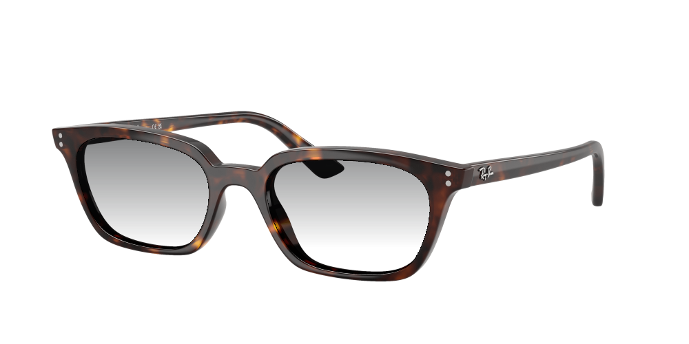 Ray Ban RB4456 135987 Zaya Ray Ban RB4456 135987 Zaya