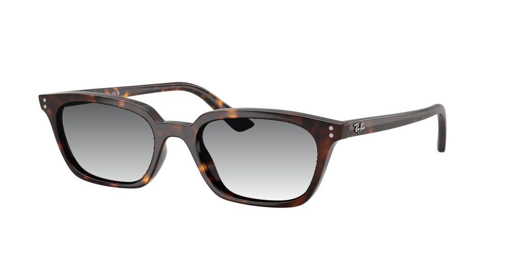Ray Ban RB4456 135987 Zaya Ray Ban RB4456 135987 Zaya