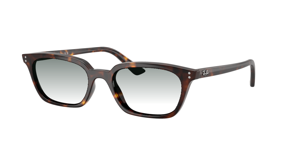 Ray Ban RB4456 135987 Zaya Ray Ban RB4456 135987 Zaya