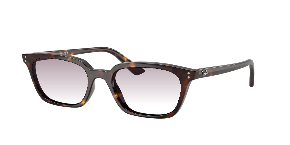 Ray Ban RB4456 135987 Zaya Ray Ban RB4456 135987 Zaya