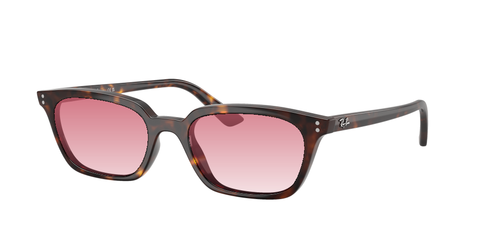 Ray Ban RB4456 135987 Zaya Ray Ban RB4456 135987 Zaya