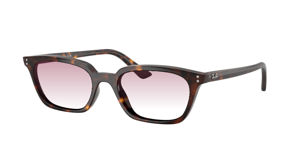 Ray Ban RB4456 135987 Zaya Ray Ban RB4456 135987 Zaya