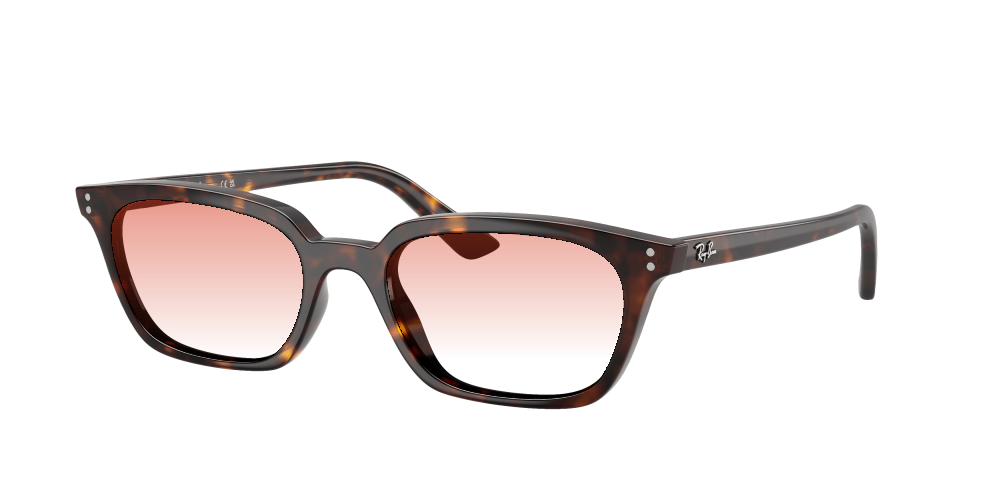 Ray Ban RB4456 135987 Zaya Ray Ban RB4456 135987 Zaya