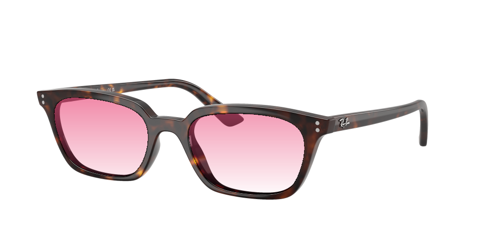 Ray Ban RB4456 135987 Zaya Ray Ban RB4456 135987 Zaya