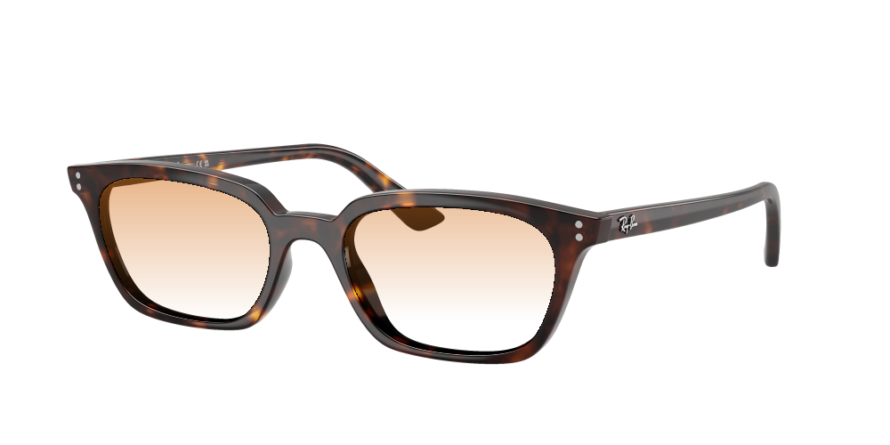 Ray Ban RB4456 135987 Zaya Ray Ban RB4456 135987 Zaya