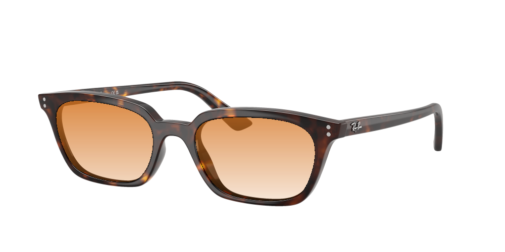 Ray Ban RB4456 135987 Zaya Ray Ban RB4456 135987 Zaya