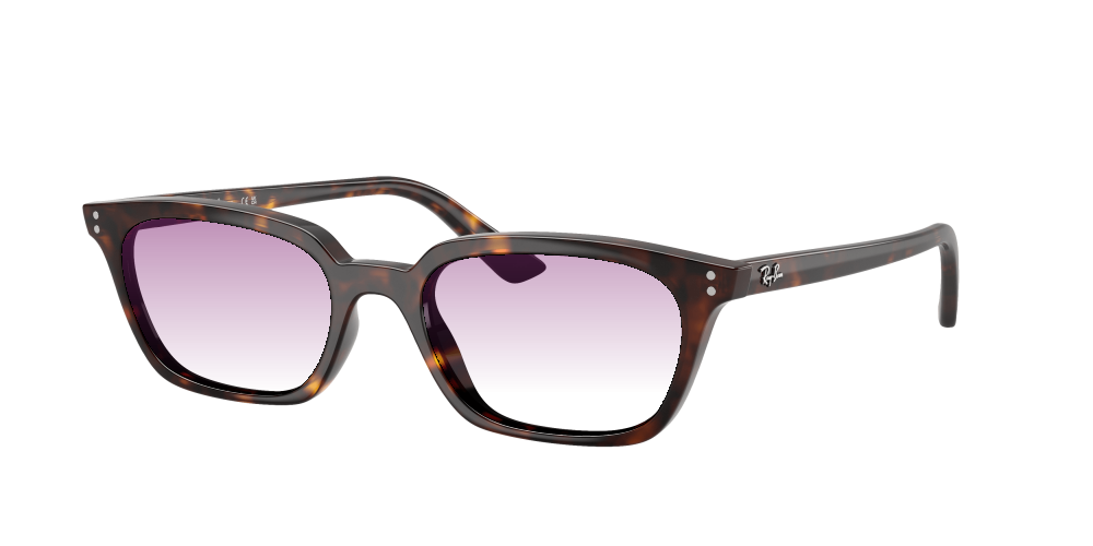 Ray Ban RB4456 135987 Zaya Ray Ban RB4456 135987 Zaya