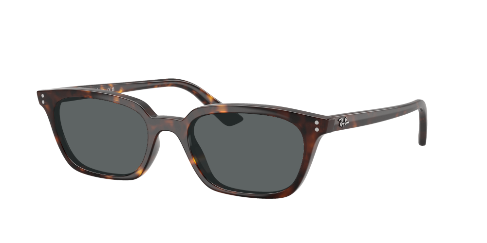 Ray Ban RB4456 135987 Zaya Ray Ban RB4456 135987 Zaya