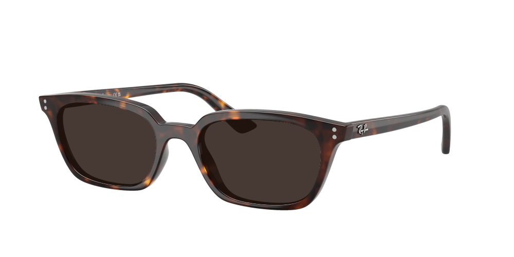 Ray Ban RB4456 135987 Zaya Ray Ban RB4456 135987 Zaya
