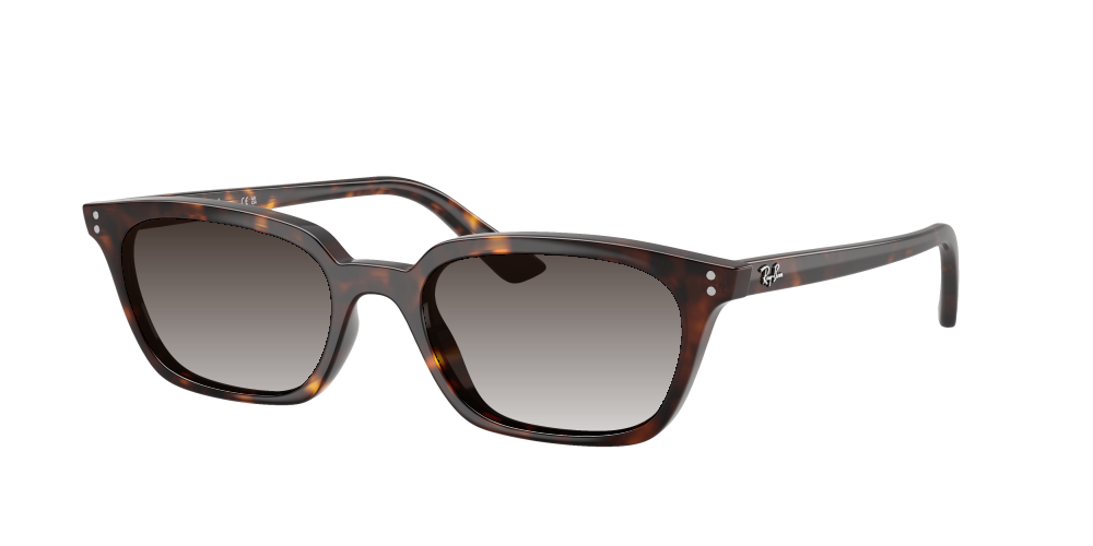 Ray-Ban RB4456 135987 Zaya Ray-Ban RB4456 135987 Zaya