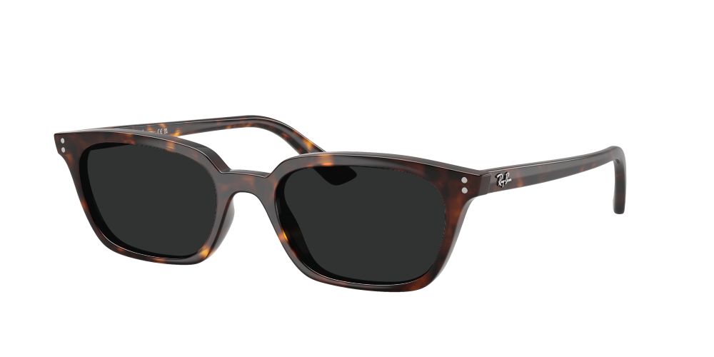 Ray Ban RB4456 135987 Zaya Ray Ban RB4456 135987 Zaya