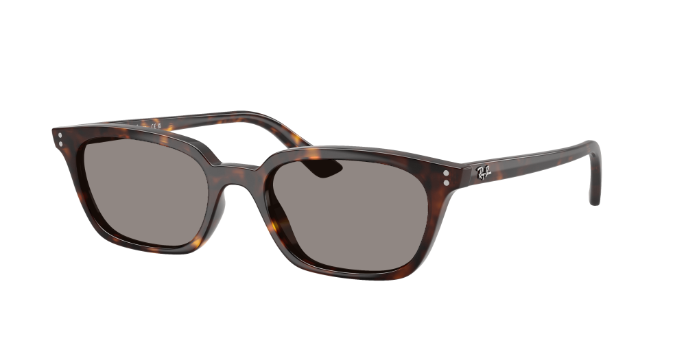 Ray Ban RB4456 135987 Zaya Ray Ban RB4456 135987 Zaya