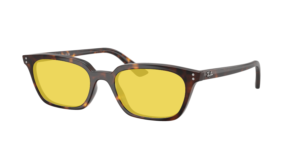 Ray Ban RB4456 135987 Zaya Ray Ban RB4456 135987 Zaya