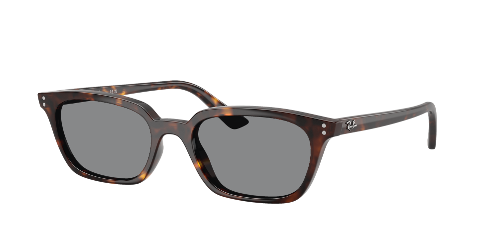 Ray Ban RB4456 135987 Zaya Ray Ban RB4456 135987 Zaya