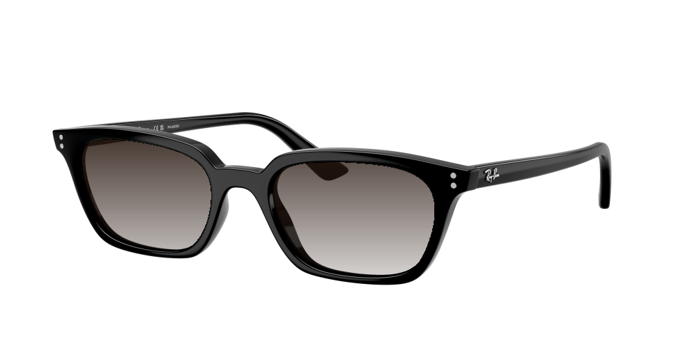 Ray Ban RB4456 667781 Zaya Ray Ban RB4456 667781 Zaya