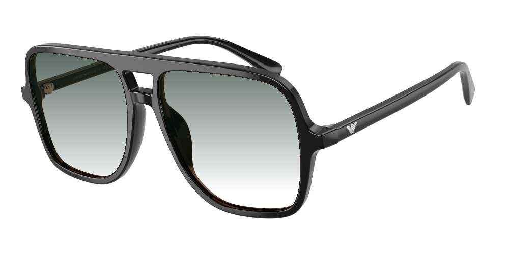 Emporio Armani EA4252U 501793 Emporio Armani EA4252U 501793