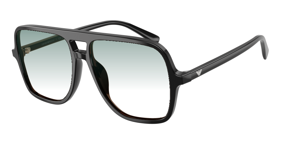 Emporio Armani EA4252U 501793 Emporio Armani EA4252U 501793