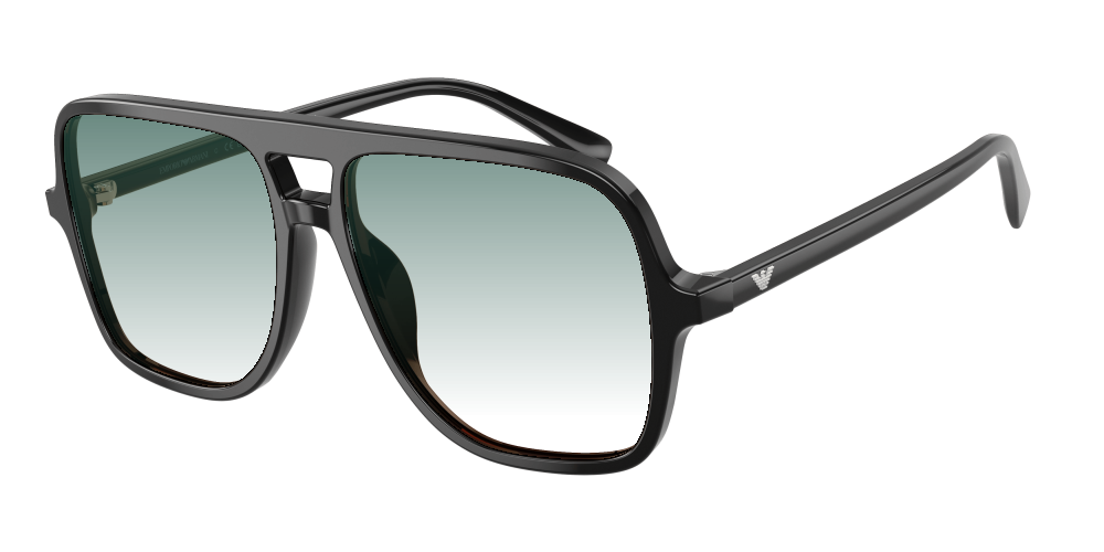 Emporio Armani EA4252U 501793 Emporio Armani EA4252U 501793