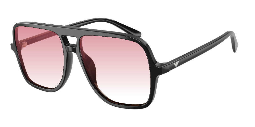 Emporio Armani EA4252U 501793 Emporio Armani EA4252U 501793