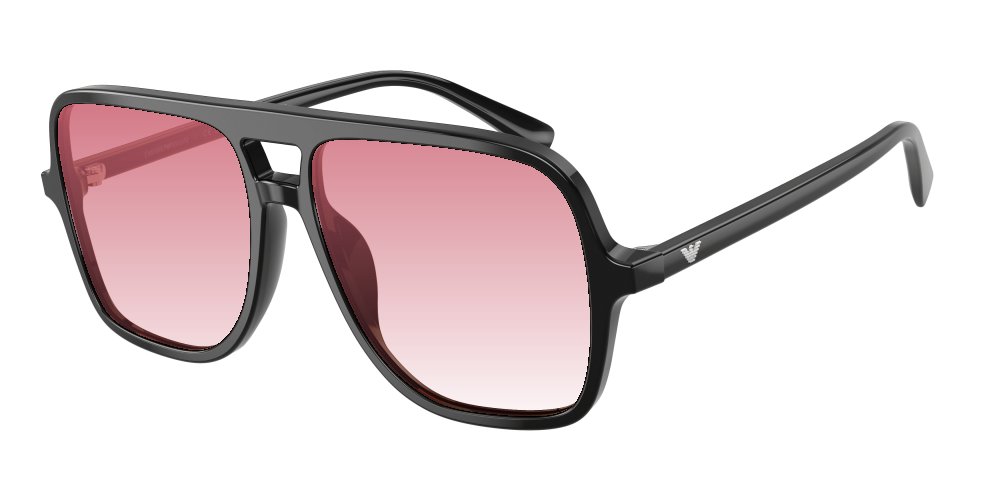 Emporio Armani EA4252U 501793 Emporio Armani EA4252U 501793