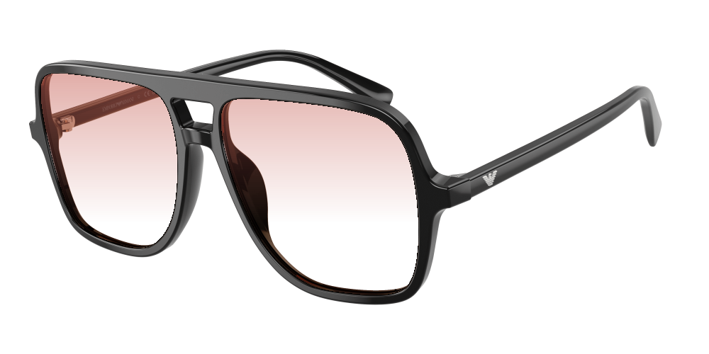 Emporio Armani EA4252U 501793 Emporio Armani EA4252U 501793