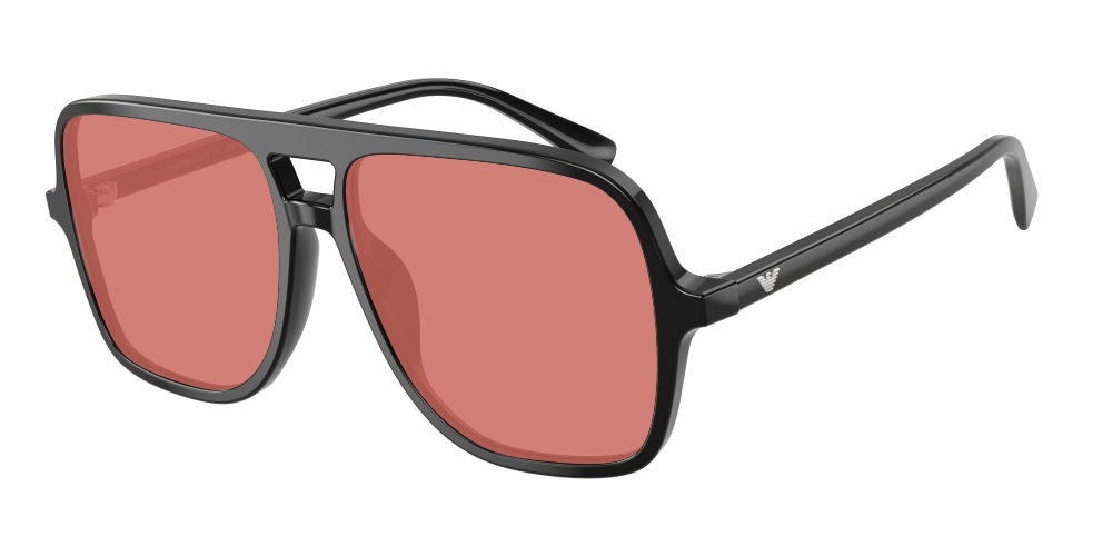 Emporio Armani EA4252U 501793 Emporio Armani EA4252U 501793