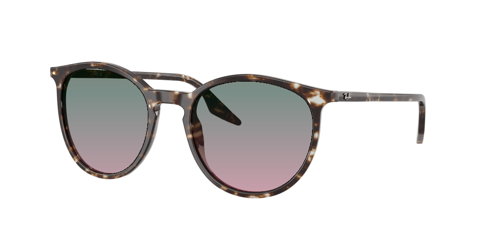 Ray Ban RB2204 143151 Ray Ban RB2204 143151