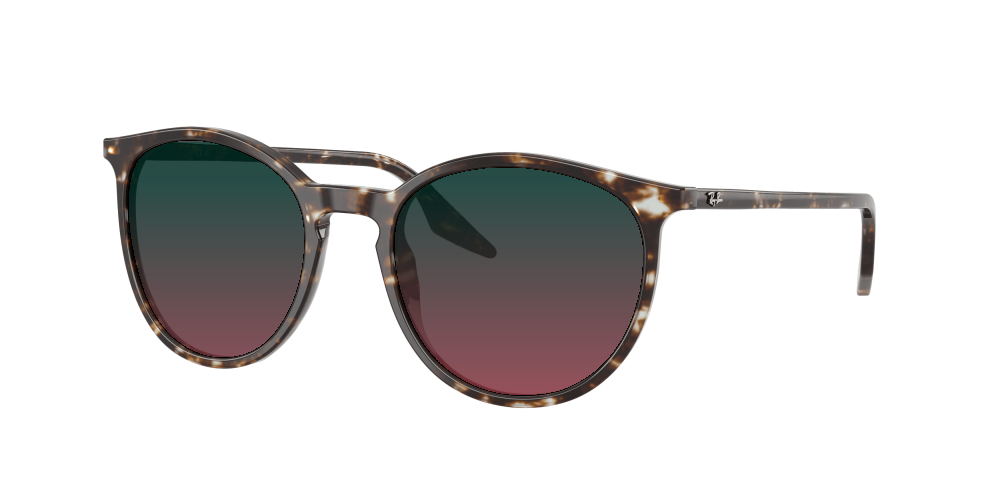 Ray Ban RB2204 143151 Ray Ban RB2204 143151