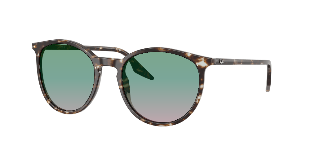 Ray Ban RB2204 143151 Ray Ban RB2204 143151
