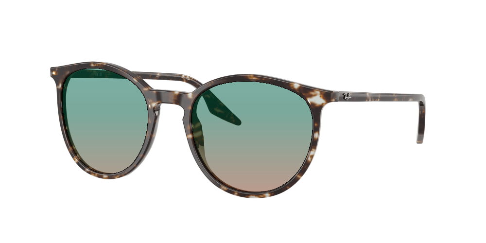 Ray Ban RB2204 143151 Ray Ban RB2204 143151