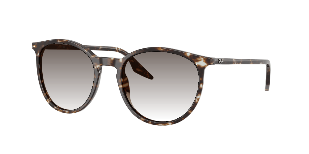 Ray Ban RB2204 143151 Ray Ban RB2204 143151