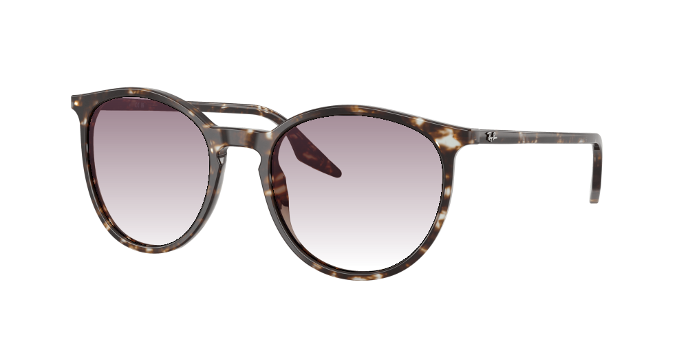 Ray Ban RB2204 143151 Ray Ban RB2204 143151