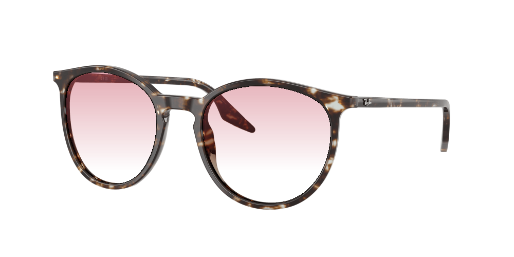 Ray Ban RB2204 143151 Ray Ban RB2204 143151